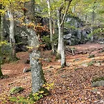 Nordbornholms Feriepark Hasle