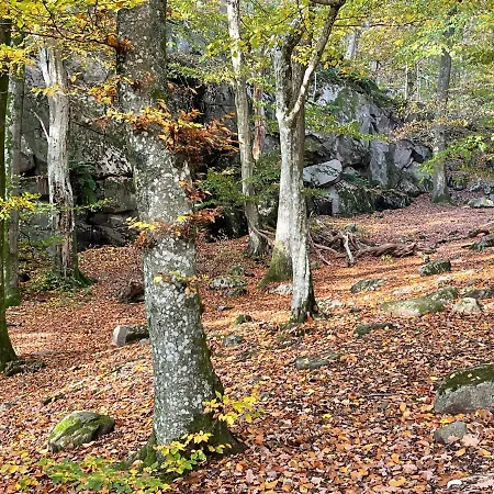 Nordbornholms Üdülőpark Hasle