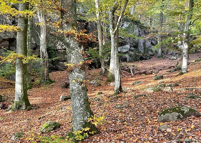 Nordbornholms Aldeamento Turístico Hasle